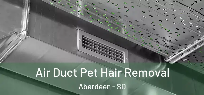  Air Duct Pet Hair Removal Aberdeen - SD