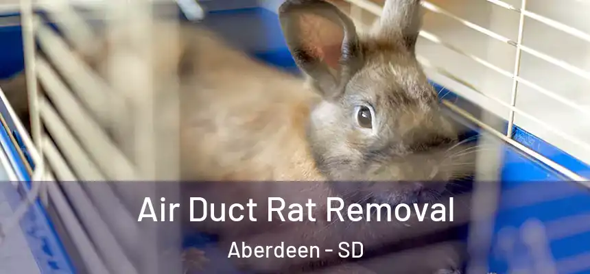  Air Duct Rat Removal Aberdeen - SD