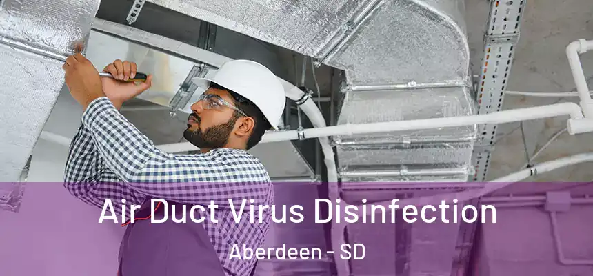  Air Duct Virus Disinfection Aberdeen - SD