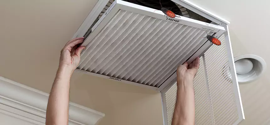Preventive Cockroach-Proofing for Ducts in Aberdeen
