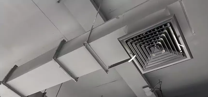 Our Rodent Droppings In Vents Services in Aberdeen, SD