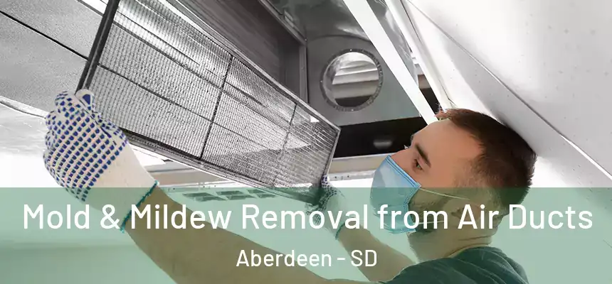  Mold & Mildew Removal from Air Ducts Aberdeen - SD