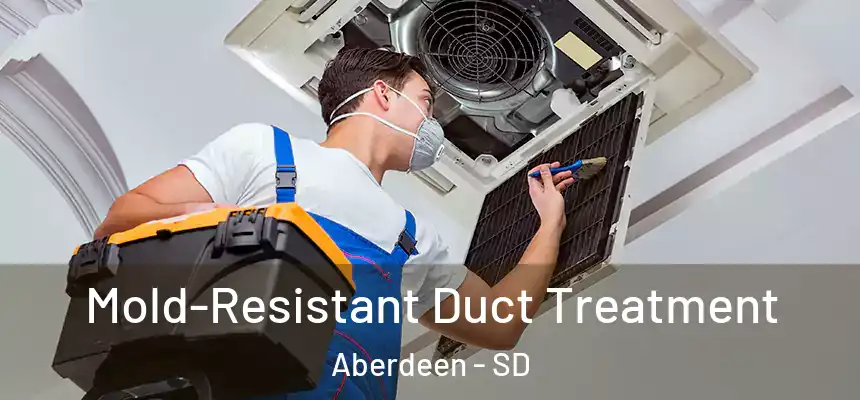  Mold-Resistant Duct Treatment Aberdeen - SD