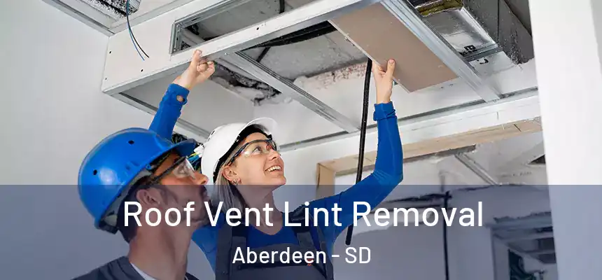  Roof Vent Lint Removal Aberdeen - SD