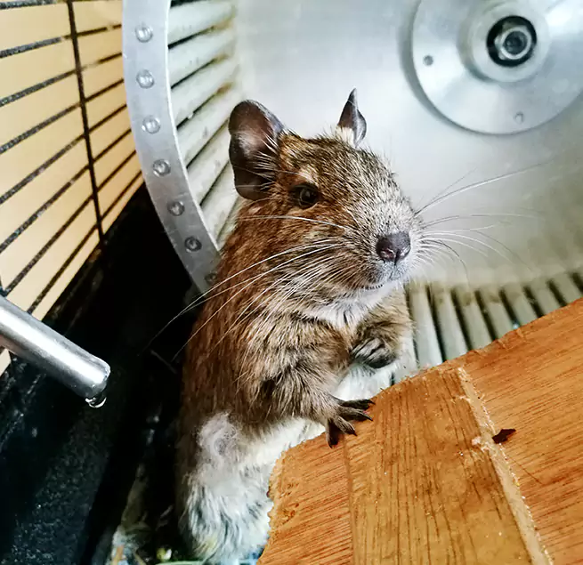 Why Homeowners & Businesses Trust Us Aberdeen, SD?